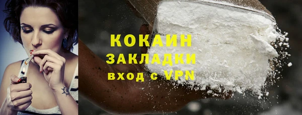 PSILOCYBIN Каменногорск