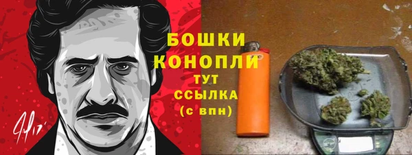 гашик Беломорск